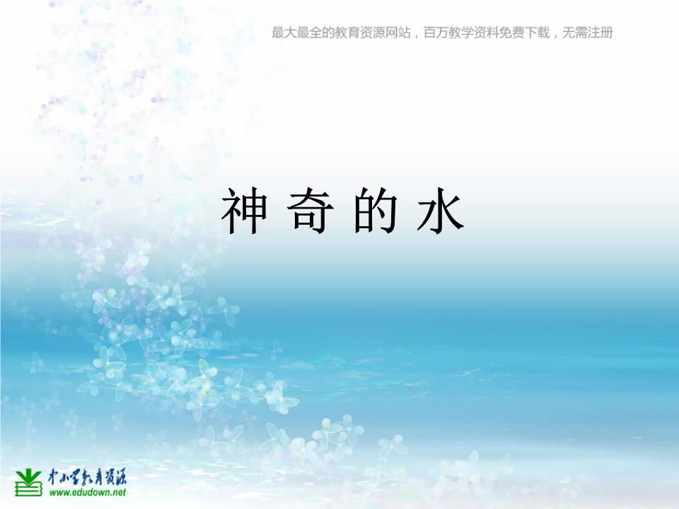 水青冈-大自然奇观：思越木结构
