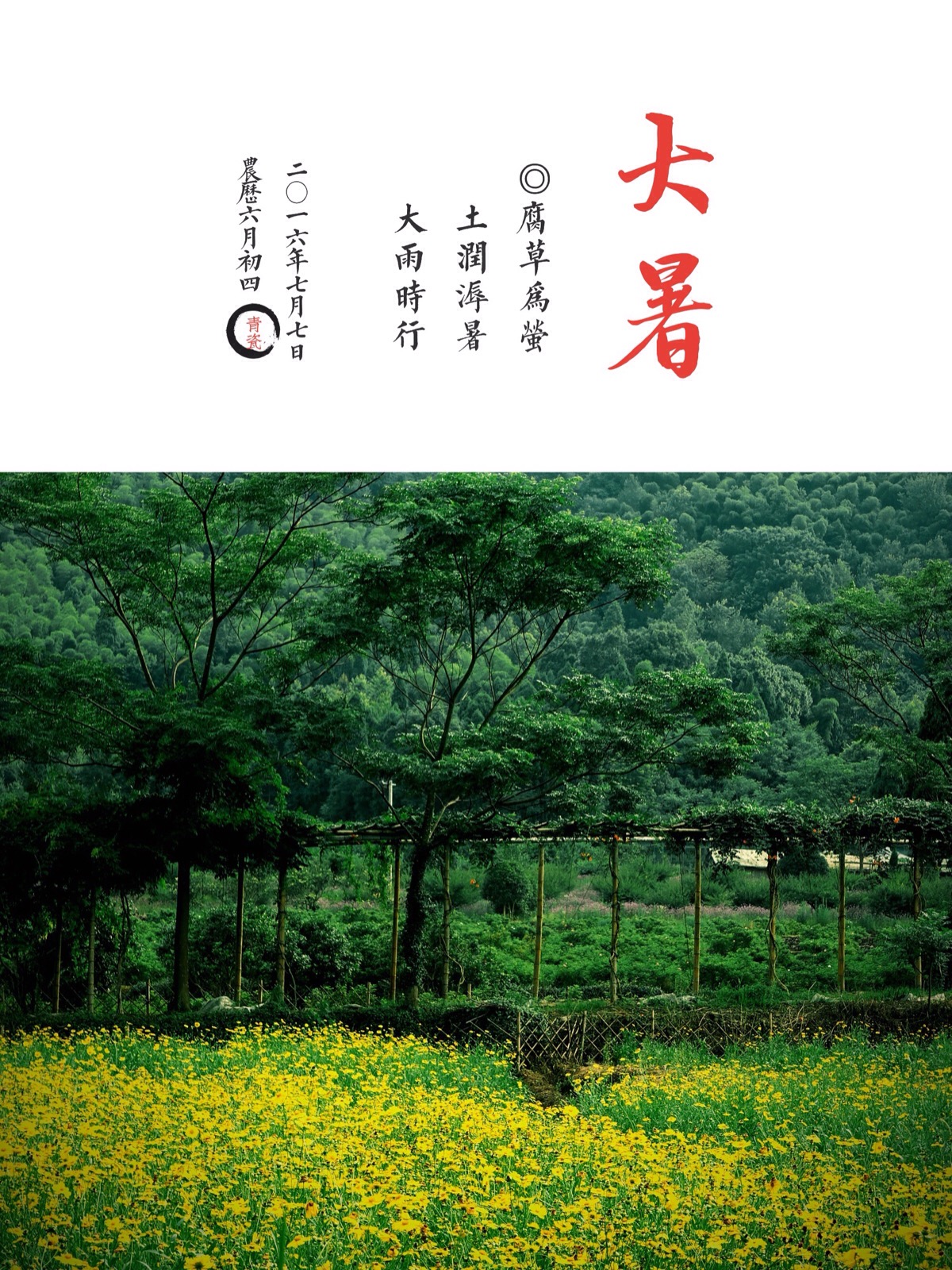 节气谚语大暑怎么说_24节气大暑的谚语_大暑节气的谚语