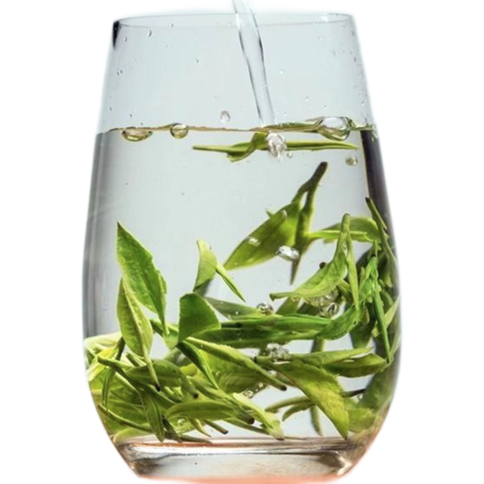 浅井茶茶_浅井茶茶_浅井茶茶