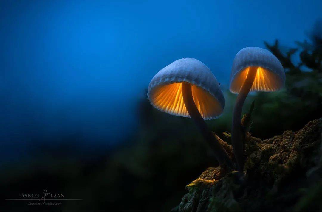 天野阳菜_天野阳菜是什么星座_天野阳菜高清头像