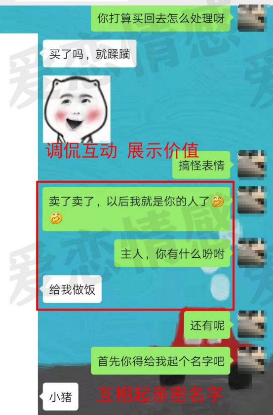 whatsapp官方手机版：三招实用功能，让你轻松玩转通讯世
