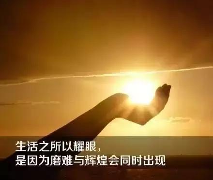 无法者_无法者_无法者