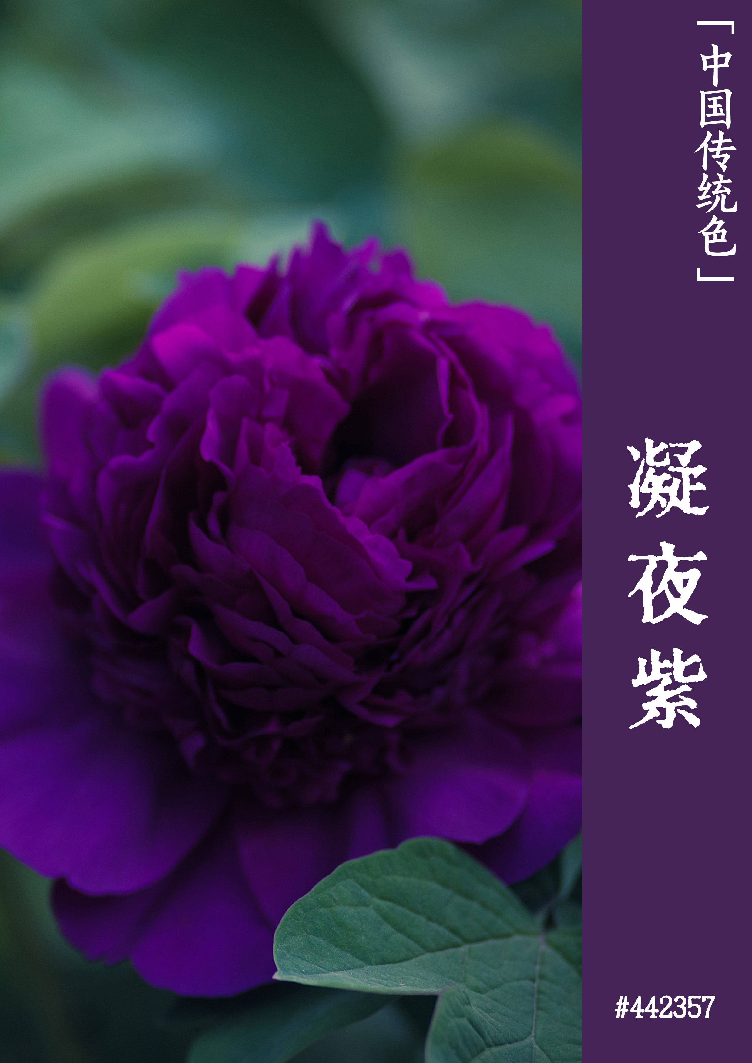 陆郁生三国杀技能_三国杀陆郁生_三国杀十周年陆郁生台词