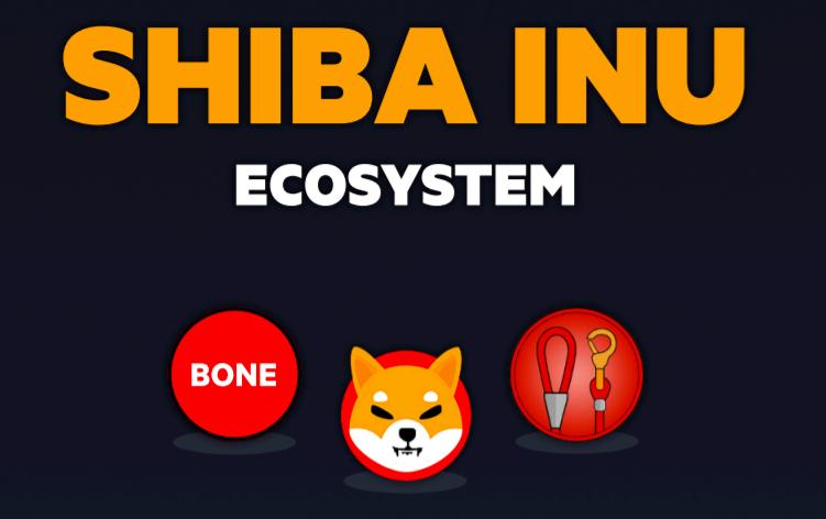狗狗币imtoken_狗狗币doge钱包获取_imtoken怎么添加狗狗币
