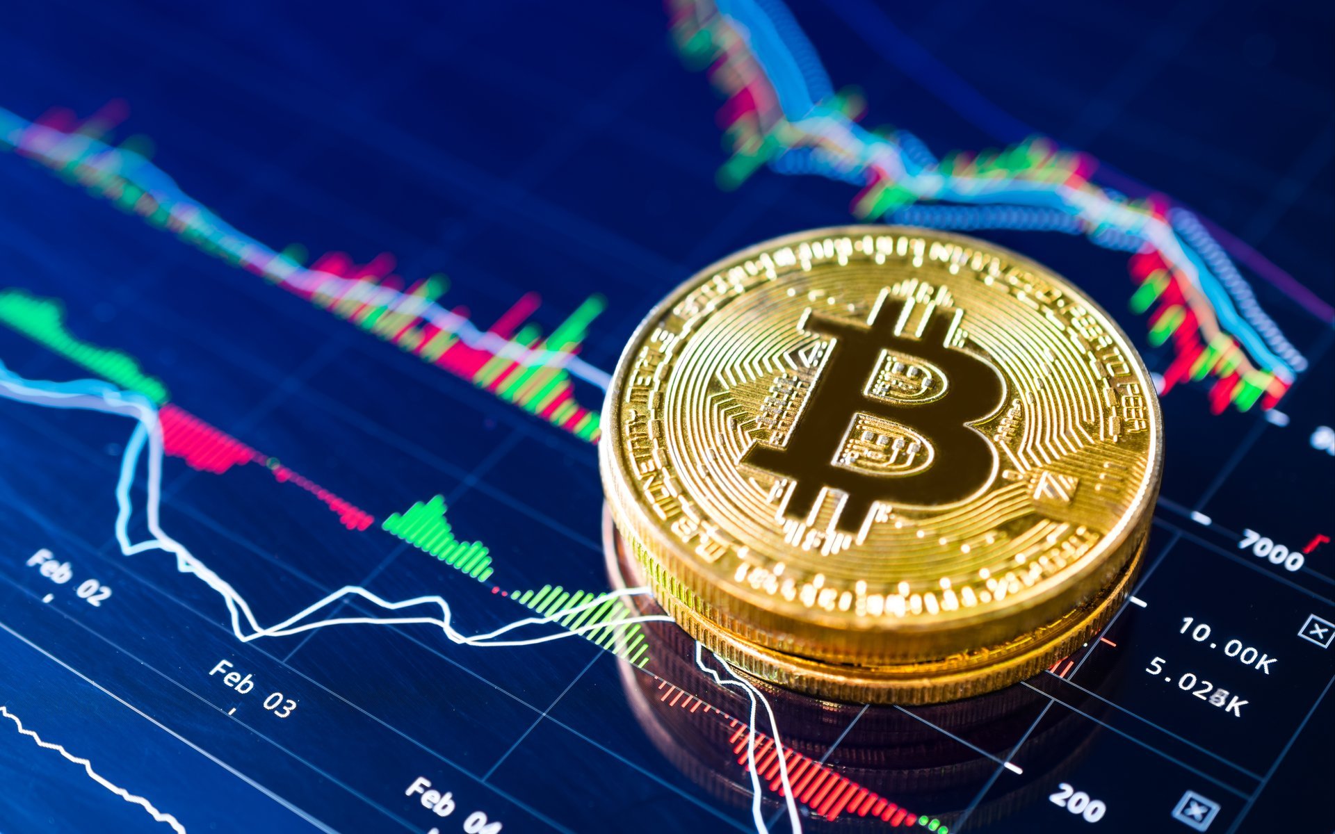 狗狗币怎么提到tp钱包_钱包狗狗币_狗狗币钱包dogecoin