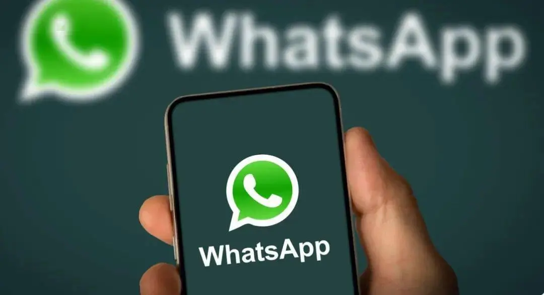 属于是什么意思啊_whatsapp是免费的吗_whatsapp是属于什么