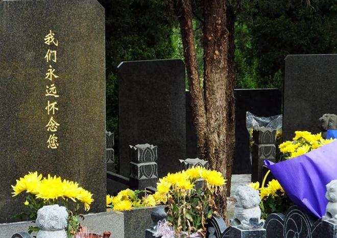端午放假安排表_端午放假安排表调休学校_端午放假安排