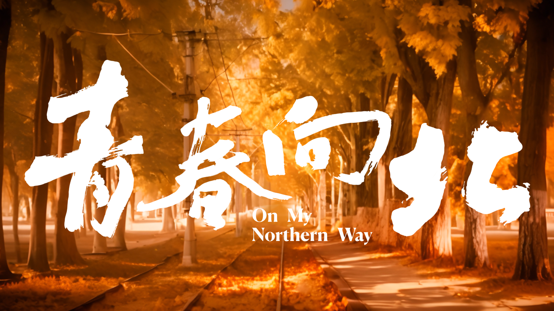 钱包公司是什么意思_钱包app是做什么用的_tp钱包公司的聊天方式