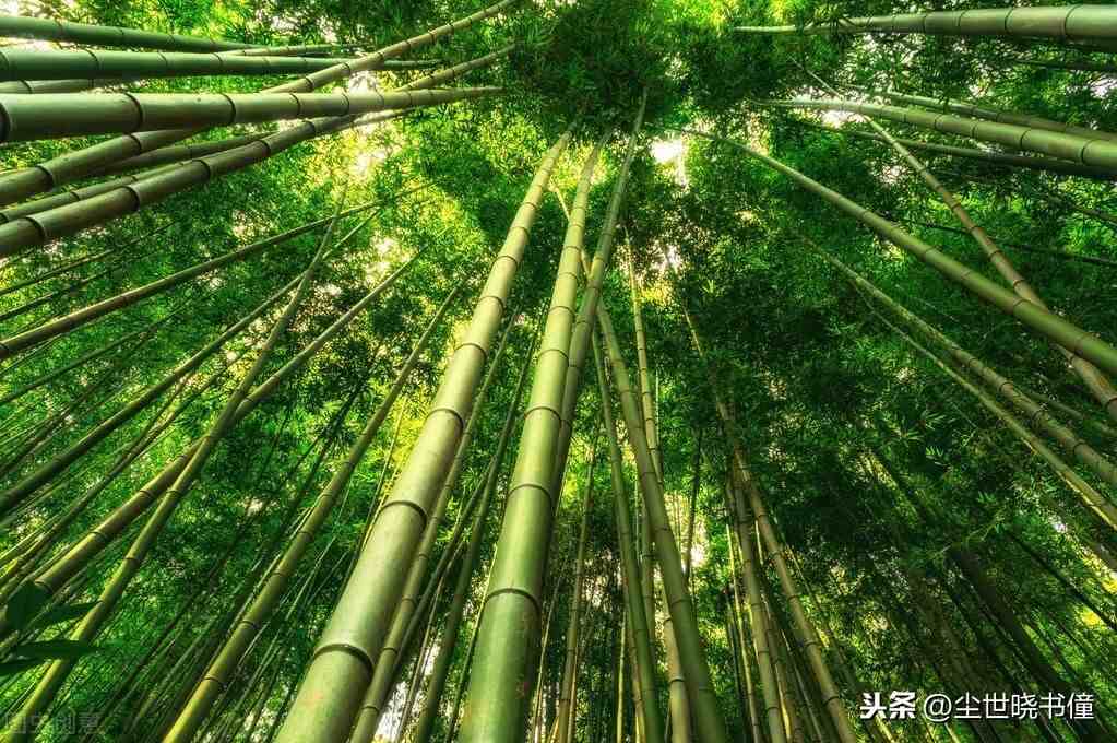 藤井あいさ_藤井萩花_藤井司