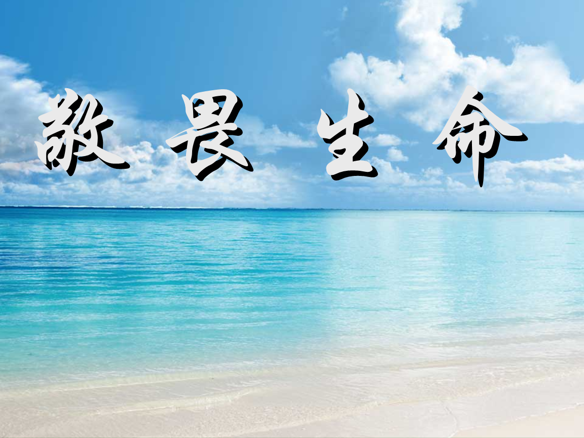 东北玩泥巴_东北玩泥巴真正歌词_东北的泥巴好玩吗