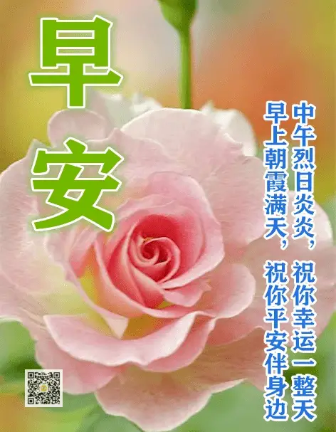 什么牌_牌灵是什么_什么牌