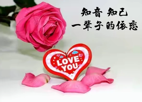 什么牌_牌灵是什么_什么牌