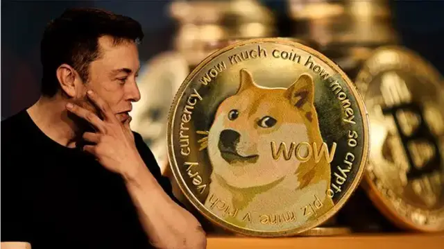 狗狗币可以买吗_狗狗币可以随买随卖吗_狗狗币可以直接买吗