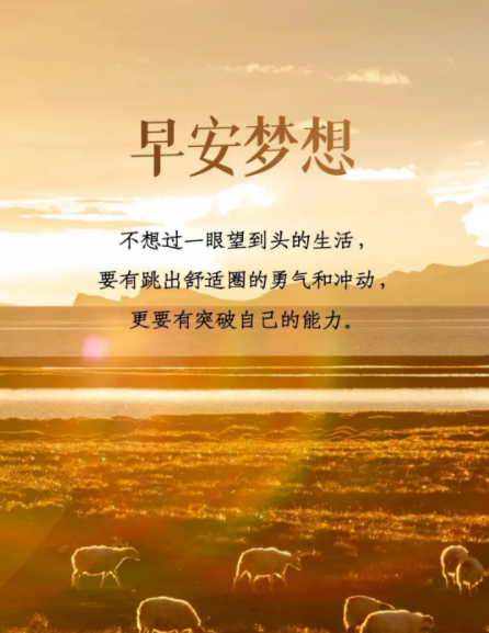 先导爱知：神秘魅力背后的探索精神与梦想追逐