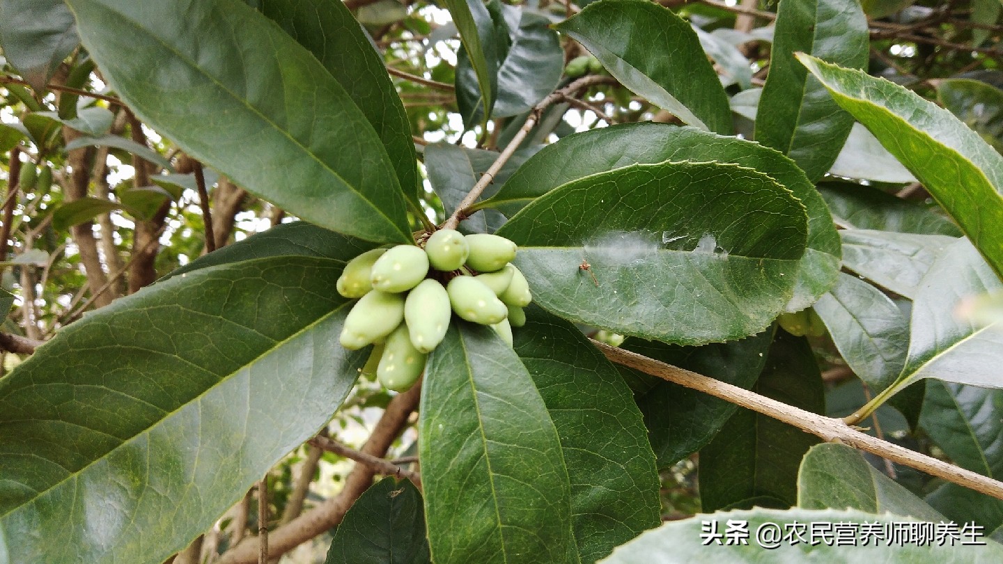钱包转币一定要手续费吗_tp钱包转币安交易所_钱包到交易所如何转化