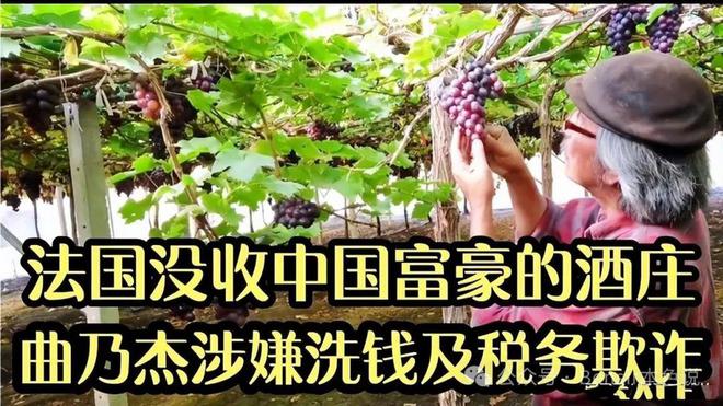 币安怎么转账到TP钱包-币安转账到 TP 钱包：简单操作指南