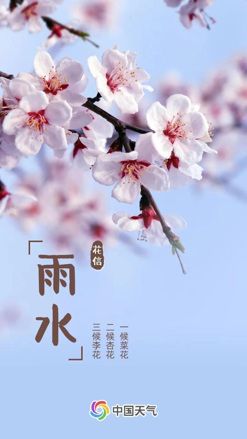 2023年雨水节气-雨水节气：春雨润万物，温暖春天正来临