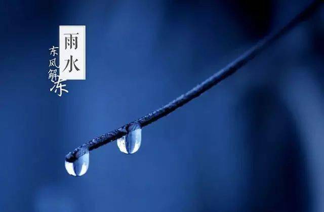 2021雨水节气具体时间_2023年雨水节气_雨水节气2021