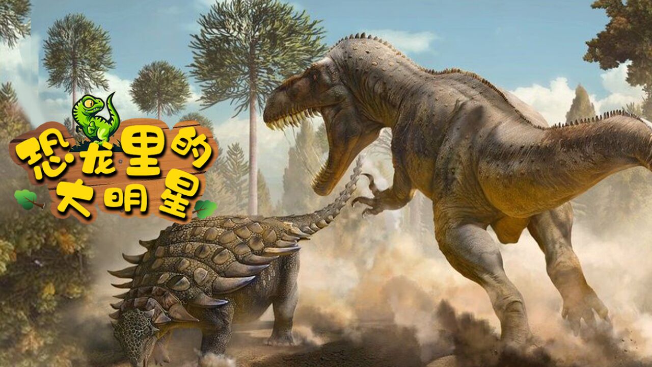 霸王烈龙_霸王烈龙异色眼烈火龙登场集数_霸王烈龙异色眼烈火龙召唤词