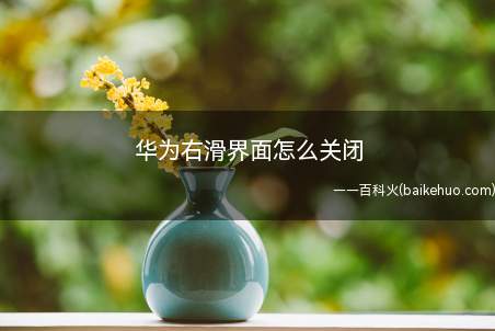 华为智慧能力开启好还是关闭好_华为智慧能力如何关闭_华为智慧能力可关闭后的坏处