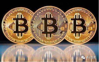 比特币养龙,比特币引领虚拟世界养龙潮流