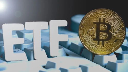 比特币投入公司,企业战略储备与机构投资者涌入