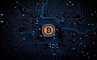 区块链dao,重塑组织治理的未来